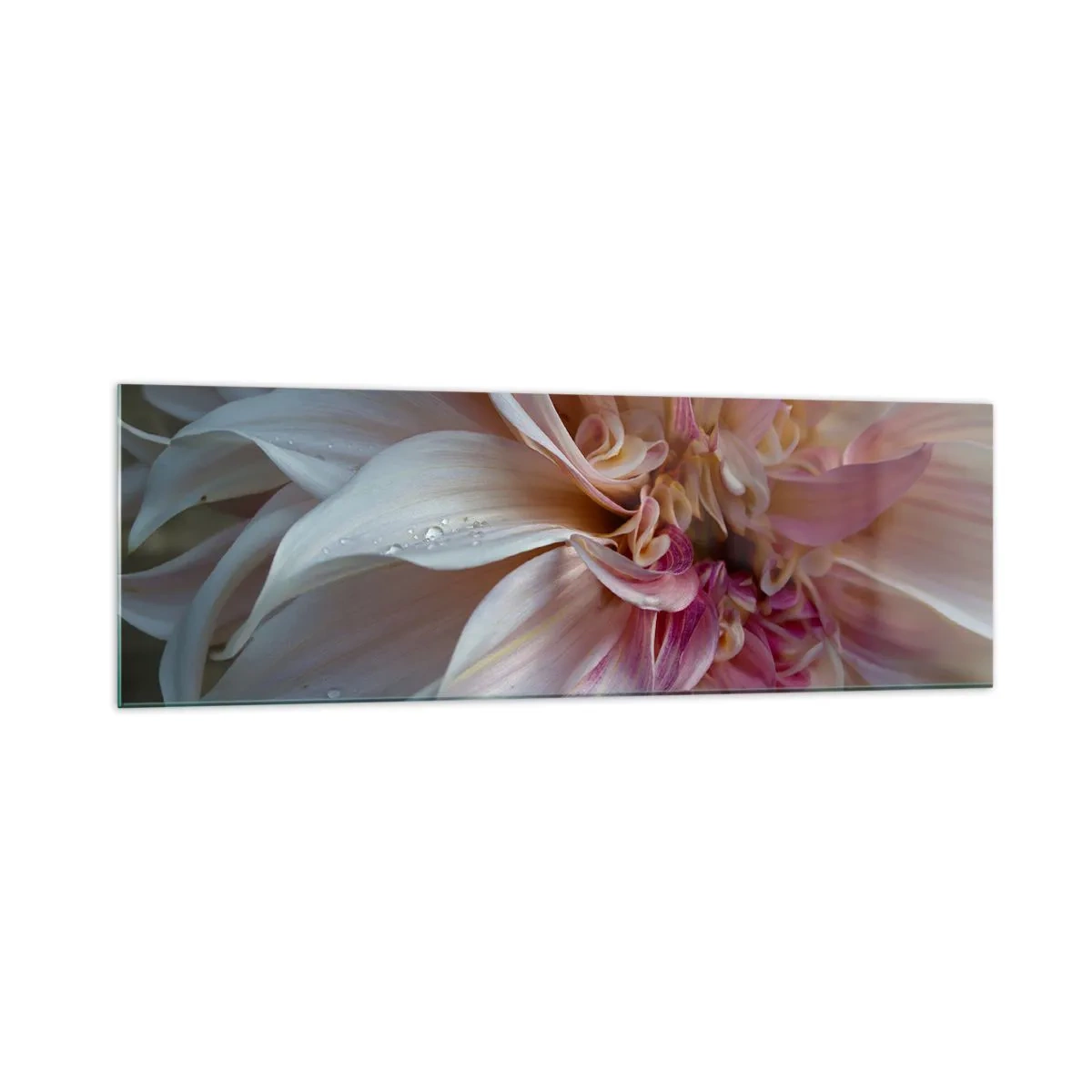 Billede på glas - Blomstrende friskhed - 160x50 cm