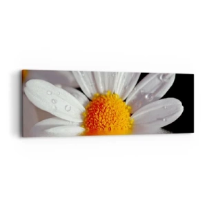 Lærredstryk - Billede på lærred - Den opgående sol på margaret - 90x30 cm