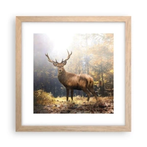 Plakat i ramme af lyst egetræ - I fuld majestæt - 30x30 cm