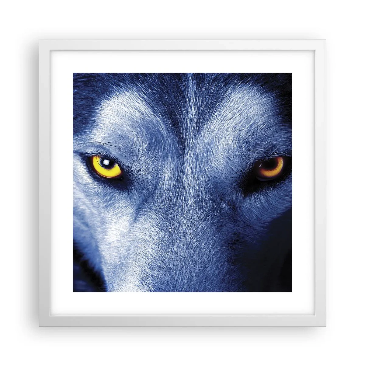 Plakat i hvid ramme - Et hypnotiserende udseende - 40x40 cm