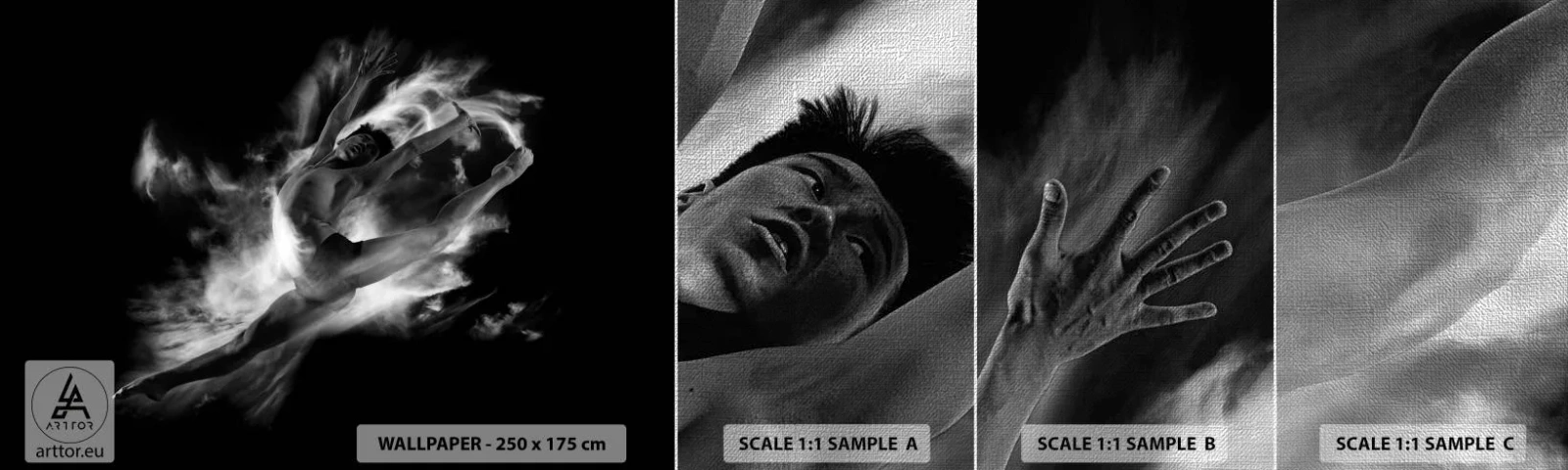 Prøve Fototapet Premium Canvas - Stoppet under flyvning - Danser, Ballet, Kultur - 100x30 cm