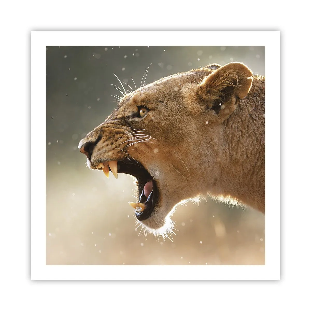 Plakat - Prøv ikke at lytte - 60x60 cm