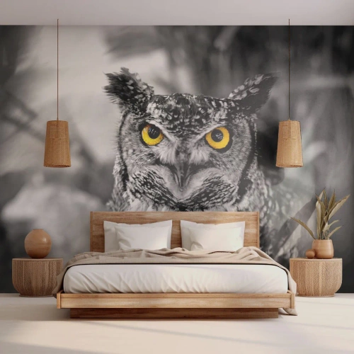 Fototapet Selvklæbende Deluxe Sticker - Intet kan skjules - Fugle, Ugle, Natur - 100x70 cm