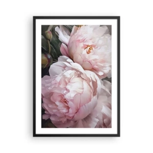Plakat i sort ramme - Delikate pæoner i pastelfarver af pink og hvid - 50x70cm - Fastlåst i blomstring - Moderne vægdekoration til stue og soveværelse ARTTOR