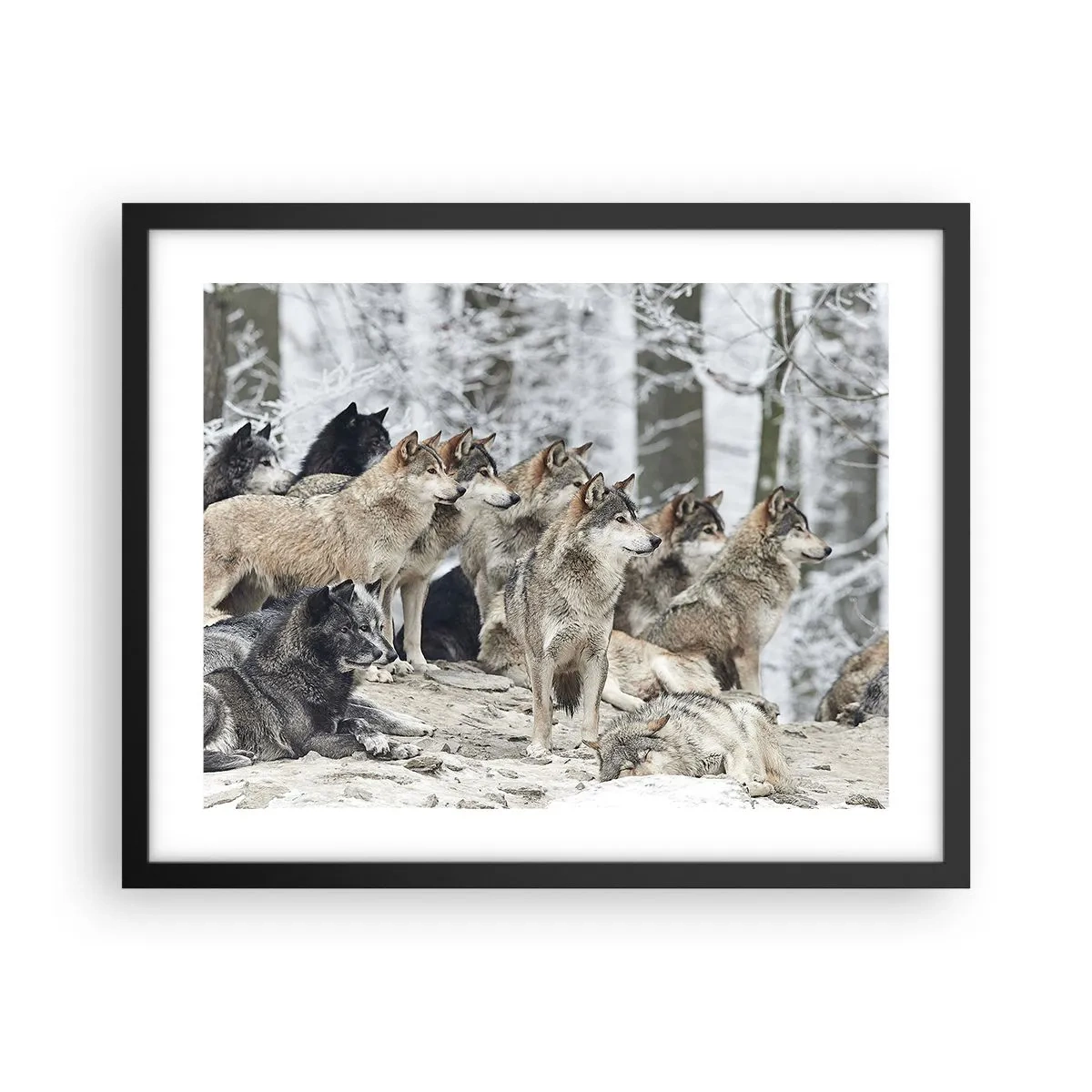 Plakat i sort ramme - Familie og venner - 50x40 cm