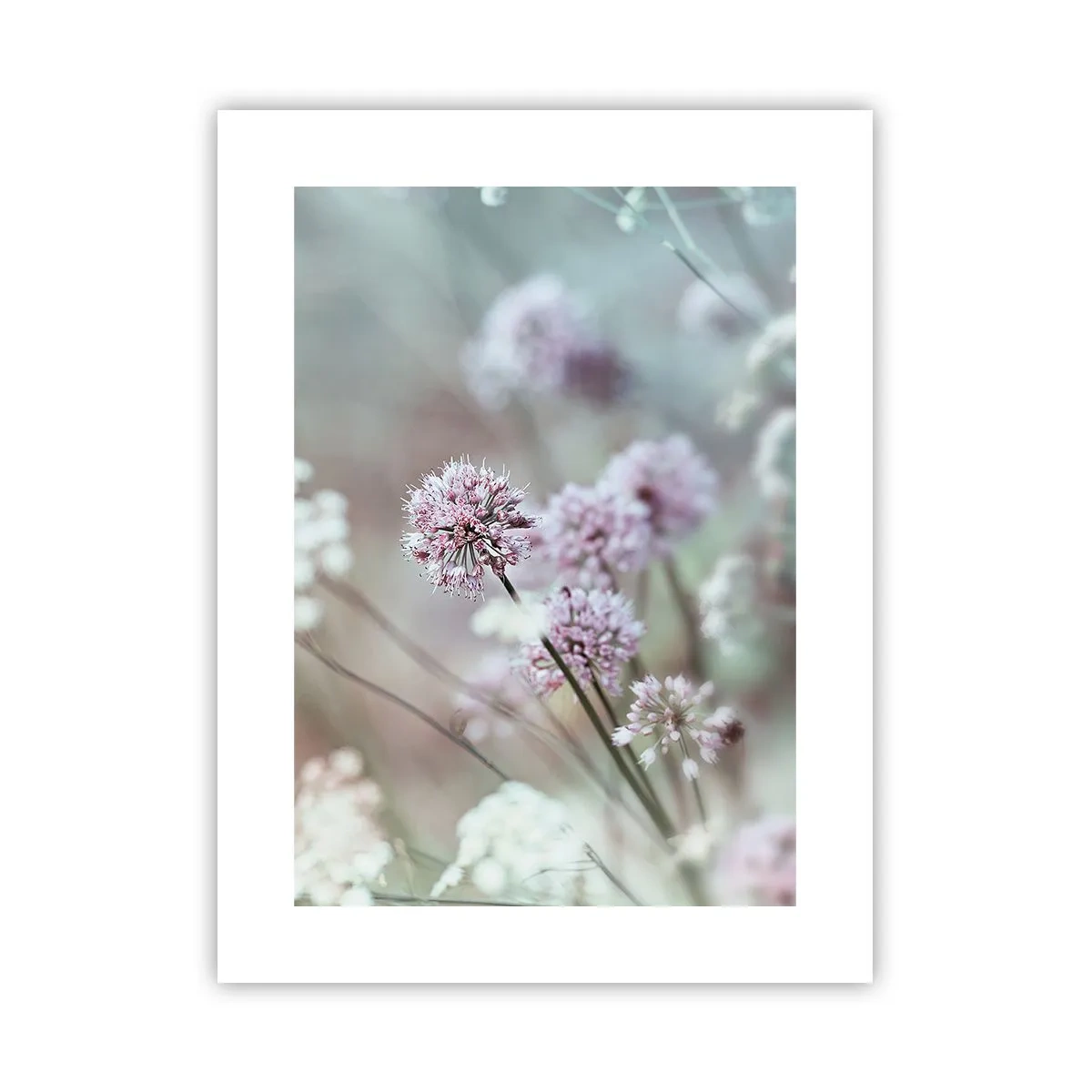 Plakat - Søde filigranurter - 30x40 cm