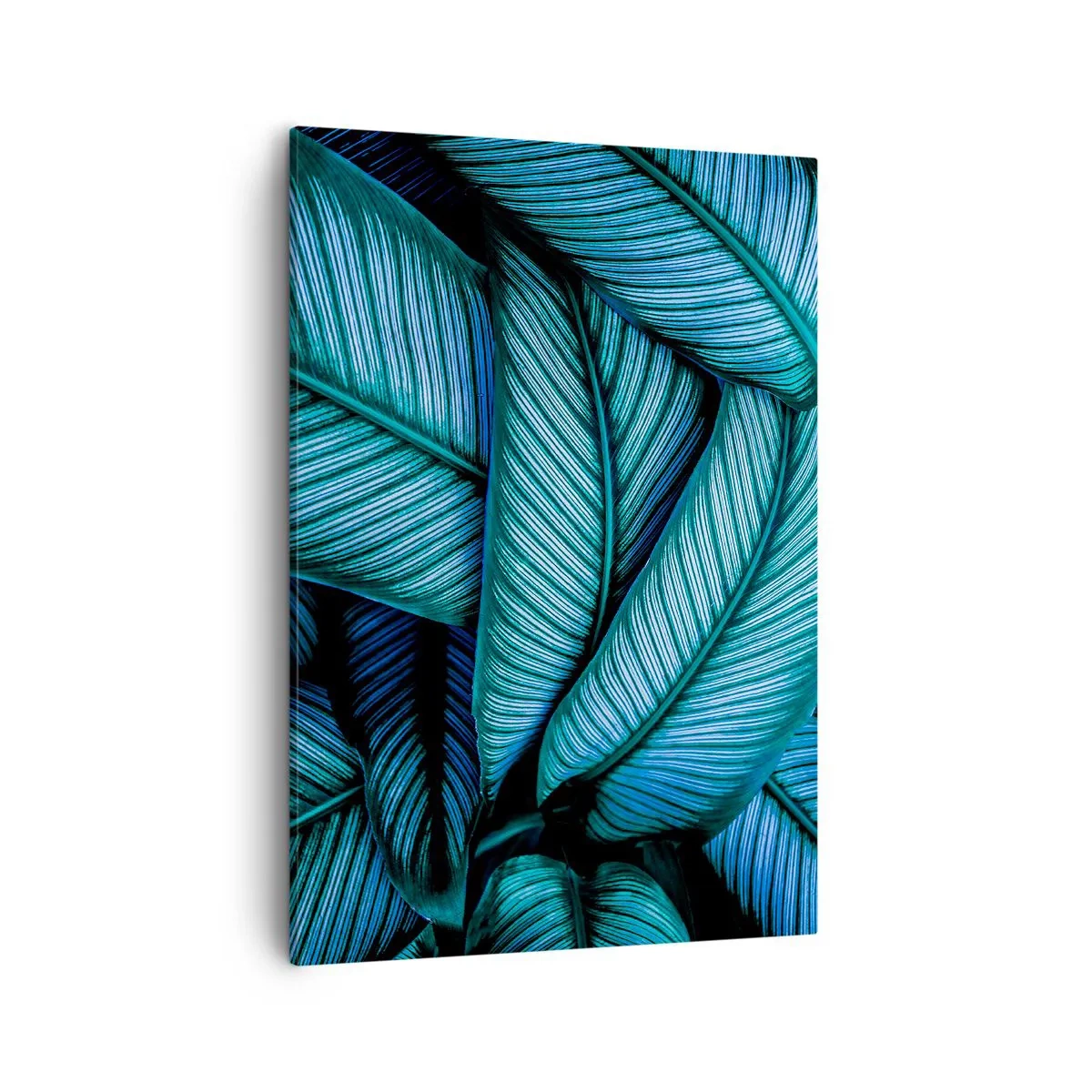 Lærredstryk - Billede på lærred - Livslinjer - 50x70 cm