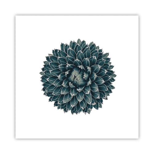 Plakat - Ørkenstjerne - 30x30 cm