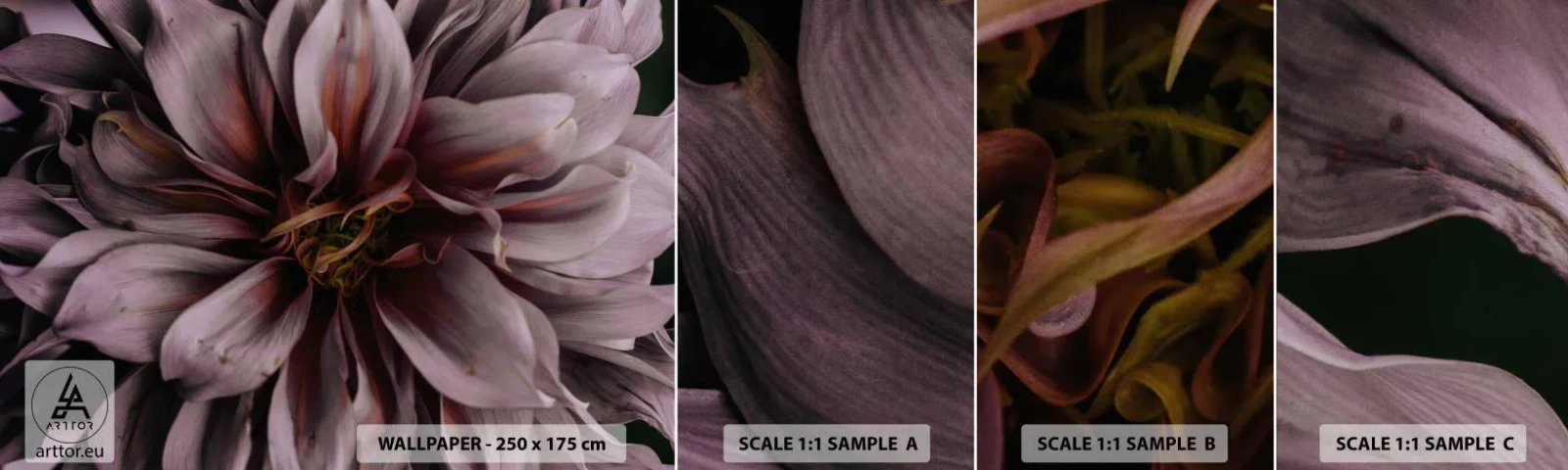 Prøve Fototapet Selvklæbende Deluxe Sticker - Blomstret hjerte - Buket blomster, Dahlia, Blomst - 100x30 cm