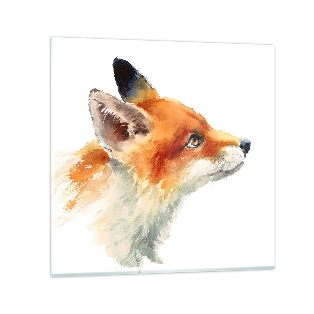 Billede på glas - Man kan aldrig være for forsigtig - 50x50 cm