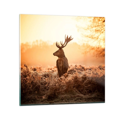 Billede på glas - Herre på godset - 70x70 cm