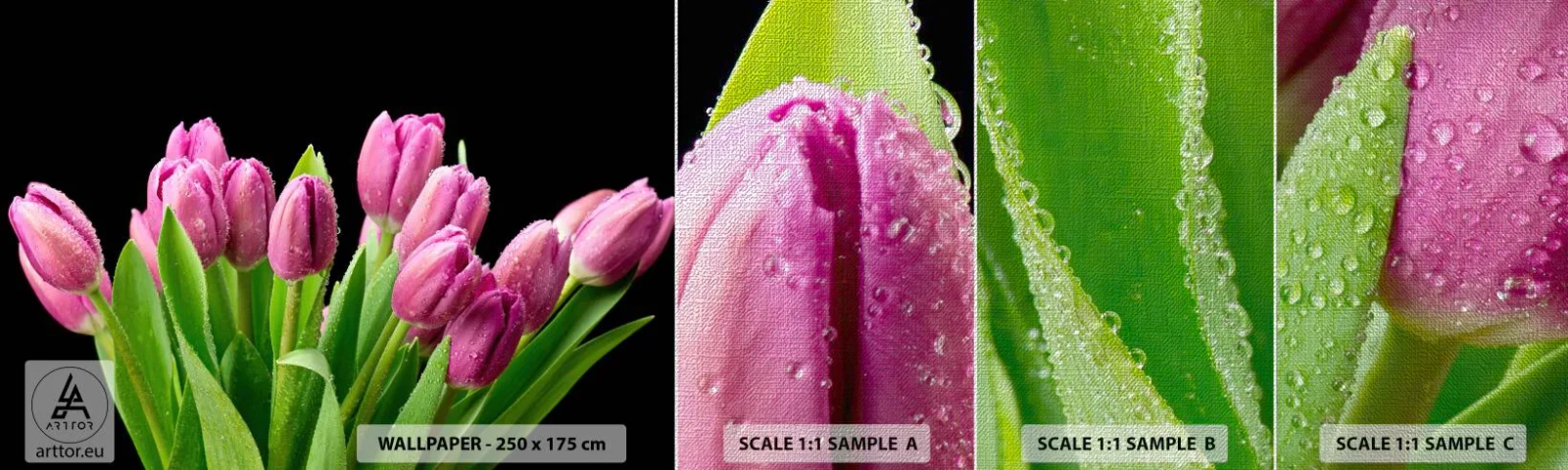 Prøve Fototapet Premium Canvas - Forårets lilla glæde - Blomster, Tulipaner, Buket blomster - 100x30 cm