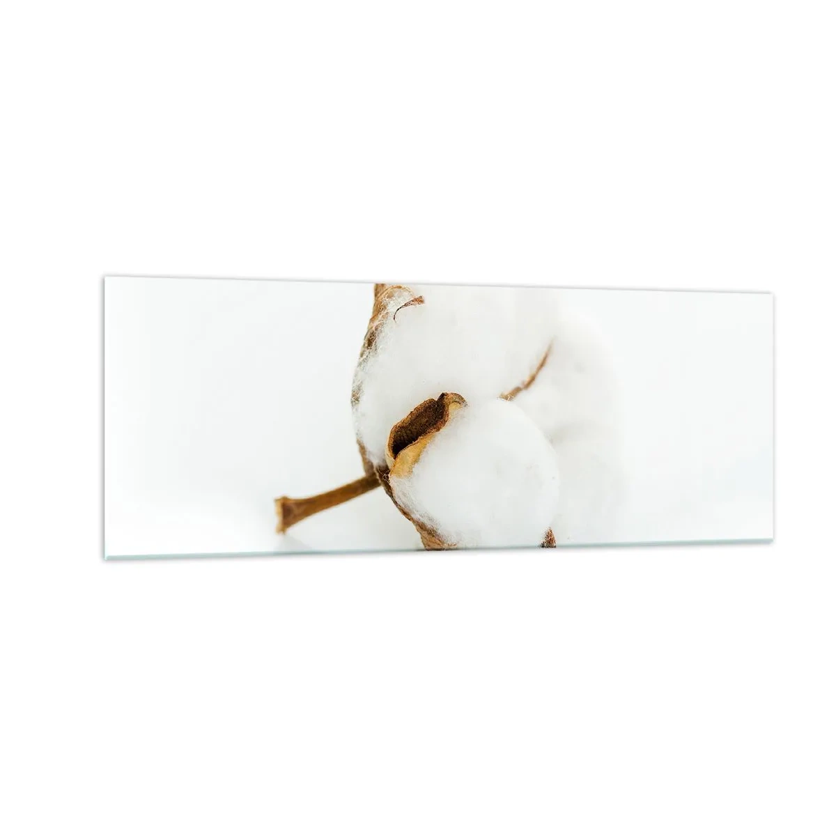 Billede på glas - Blød af natur - 140x50 cm