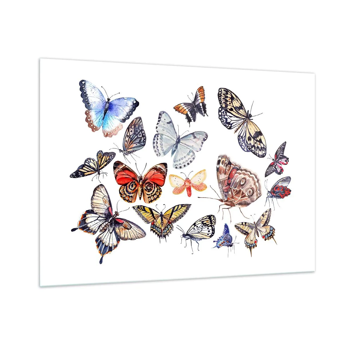 Billede på glas - Blonder, farverig sværm - 100x70 cm