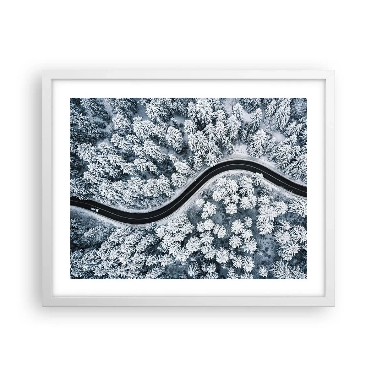 Plakat i hvid ramme - Gennem en vinterskov - 50x40 cm