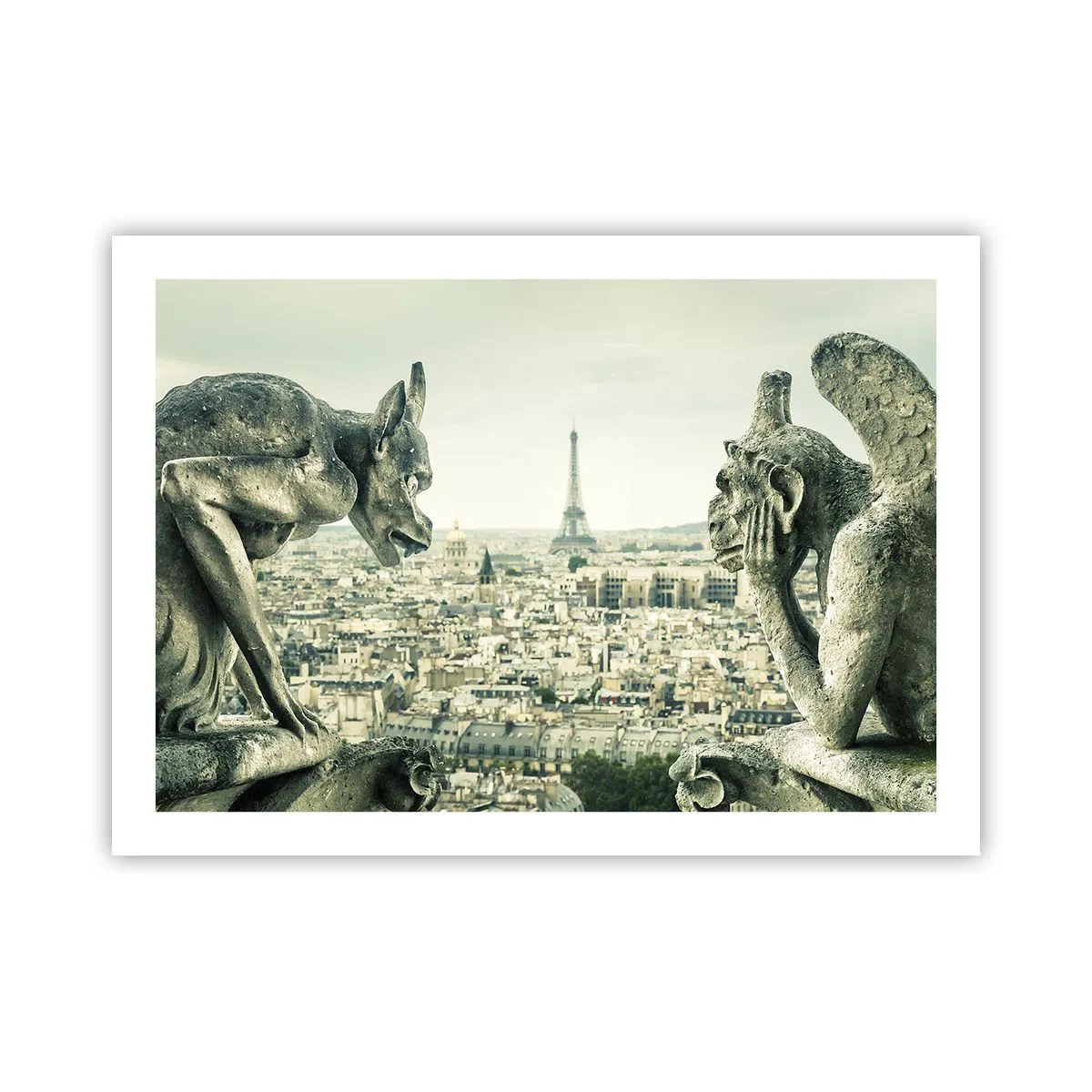 Plakat - Parisisk chat - 70x50 cm