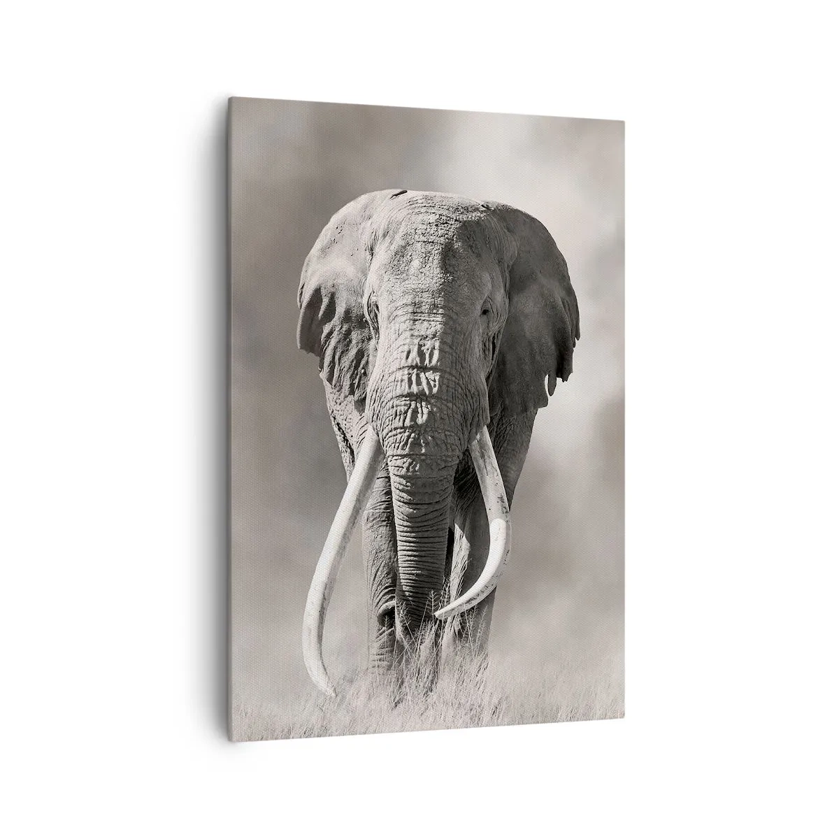 Lærredstryk - Billede på lærred - Afrikansk patriark - 70x100 cm