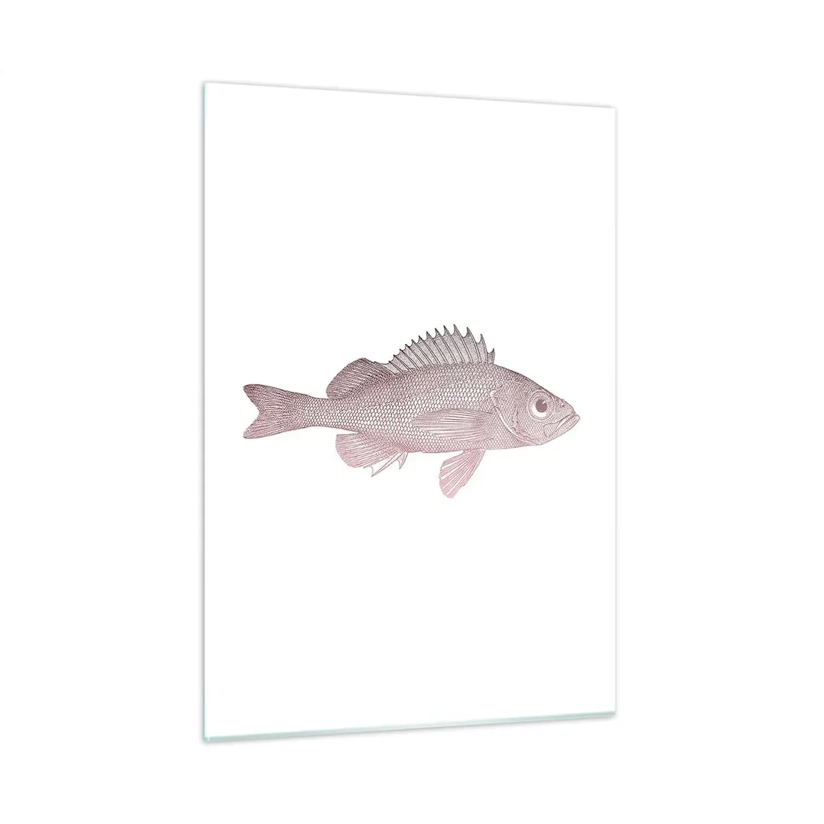 Billede på glas - Fisk med store øjne - 50x70 cm