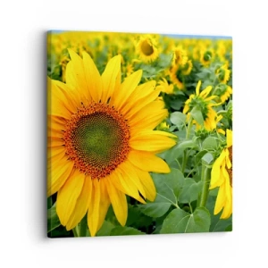 Lærredstryk - Billede på lærred - Hundredvis af sole blussede op - 30x30 cm