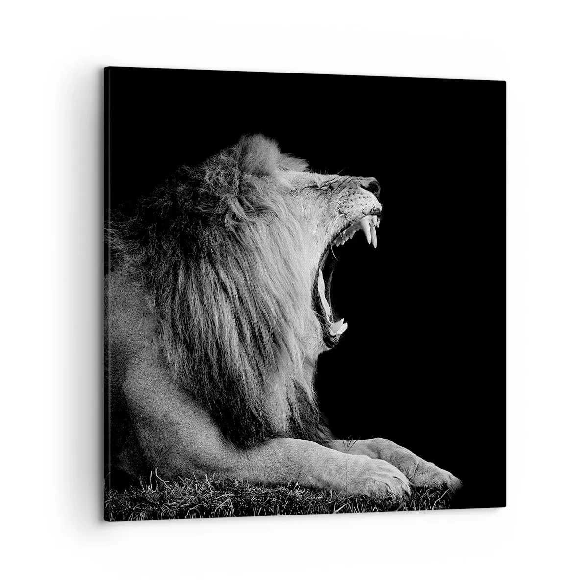 Lærredstryk - Billede på lærred - Uden tvivl - 50x50 cm