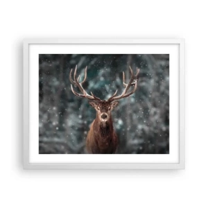 Plakat i hvid ramme - Skovens konge kronet - 50x40 cm