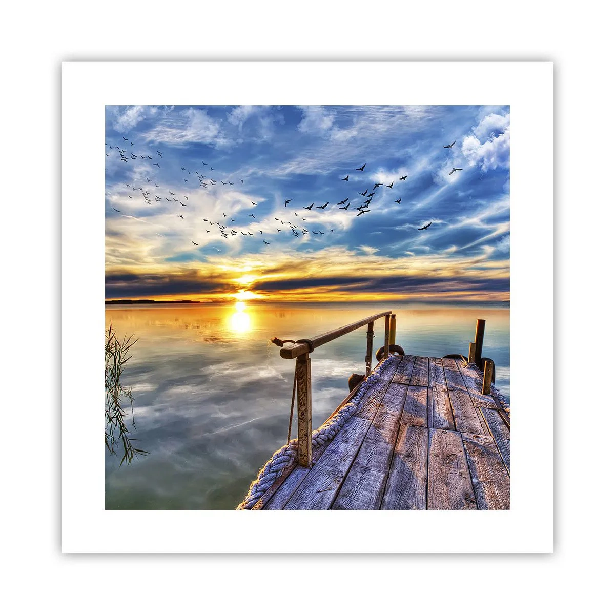 Plakat - Vinden går til ro - 40x40 cm