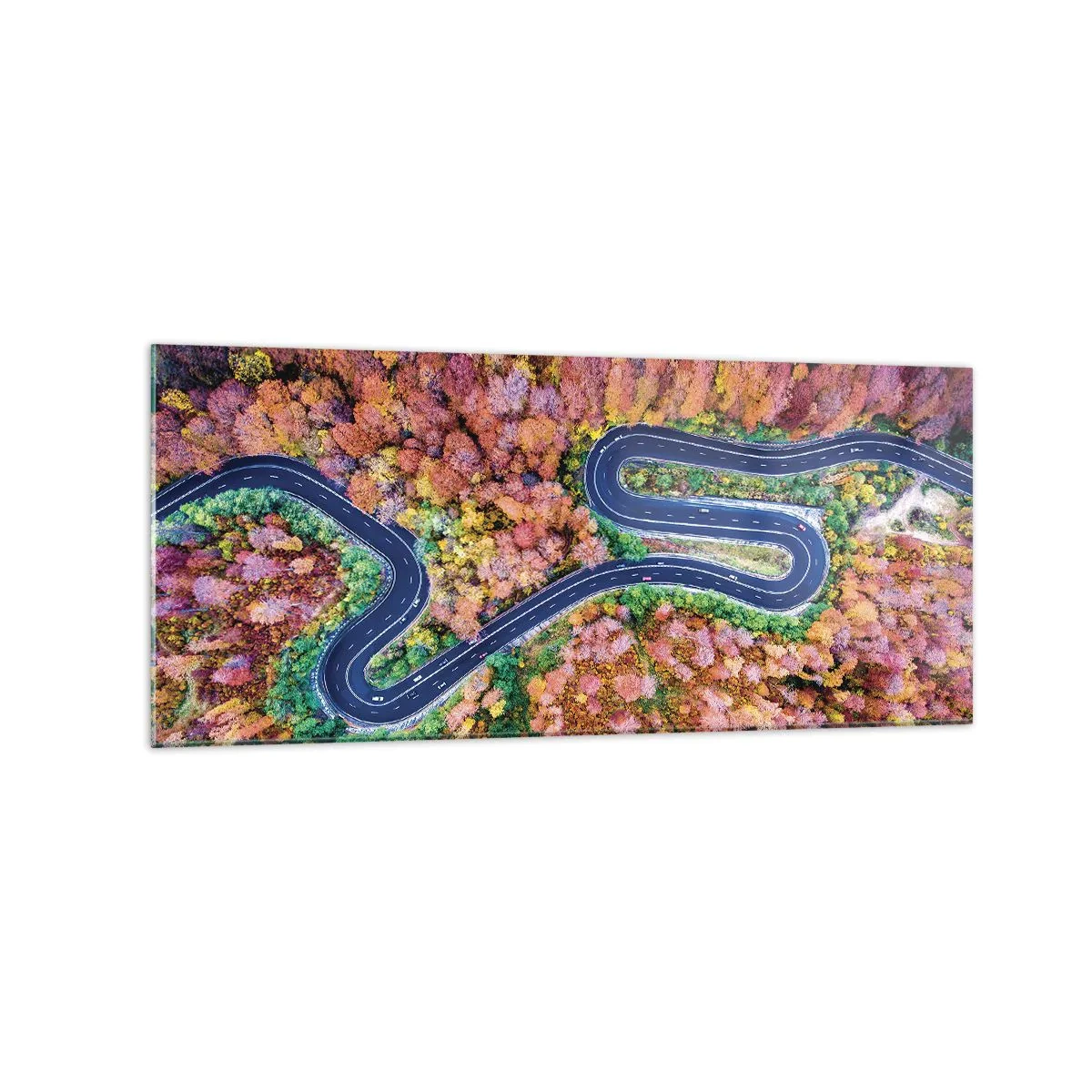 Billede på glas - En snoet vej gennem skoven - 120x50 cm