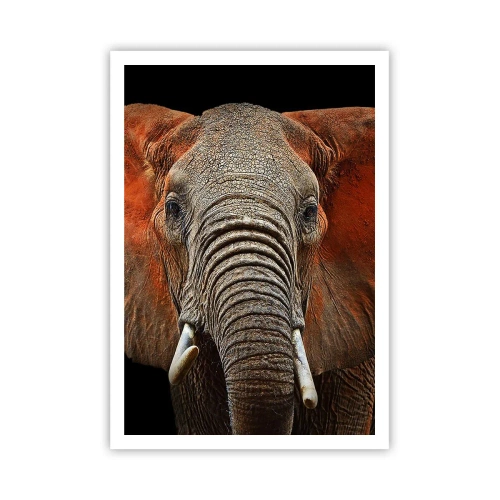 Plakat - Jeg er vild, er du? - 70x100 cm