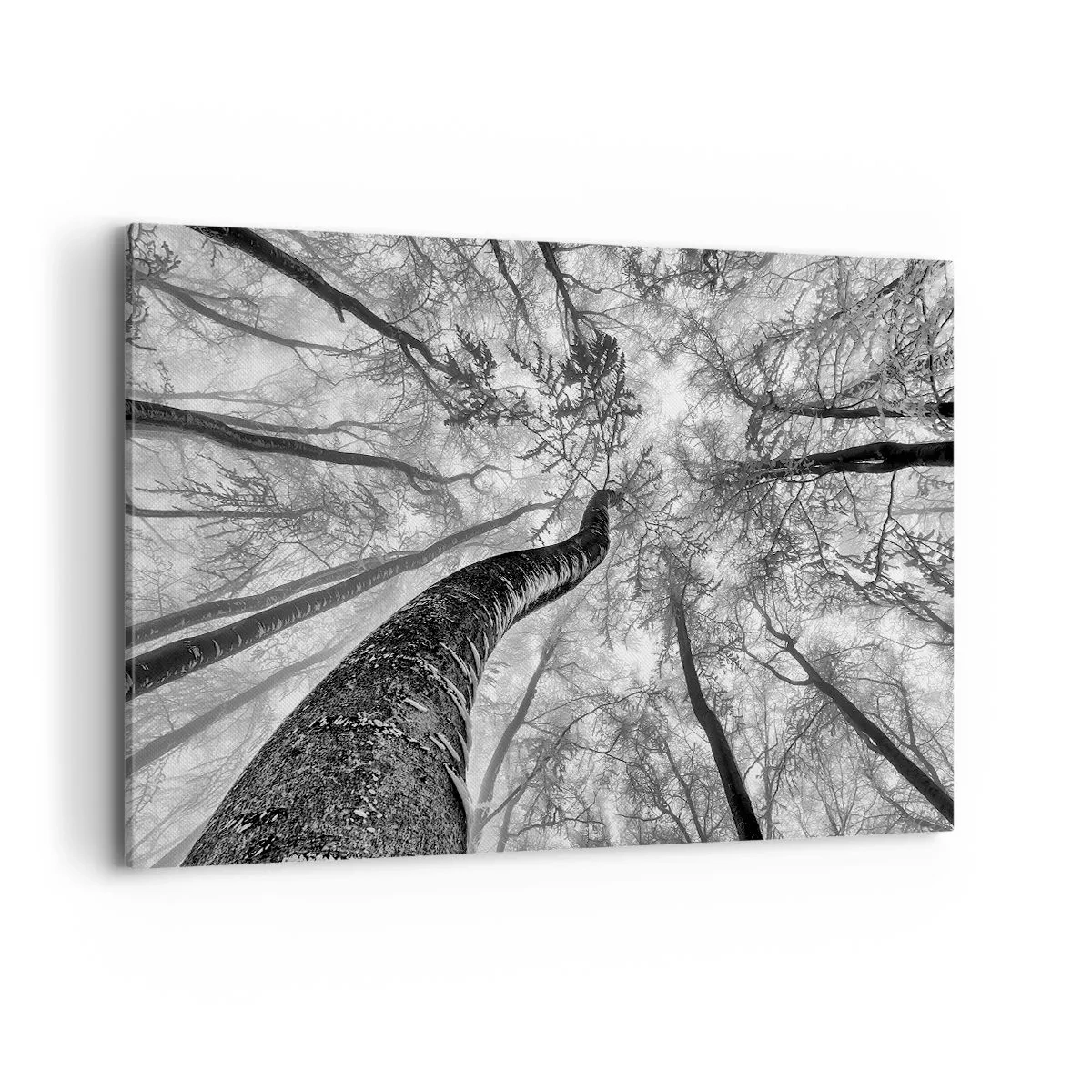 Lærredstryk - Billede på lærred - Kapløb mod lyset - 120x80 cm