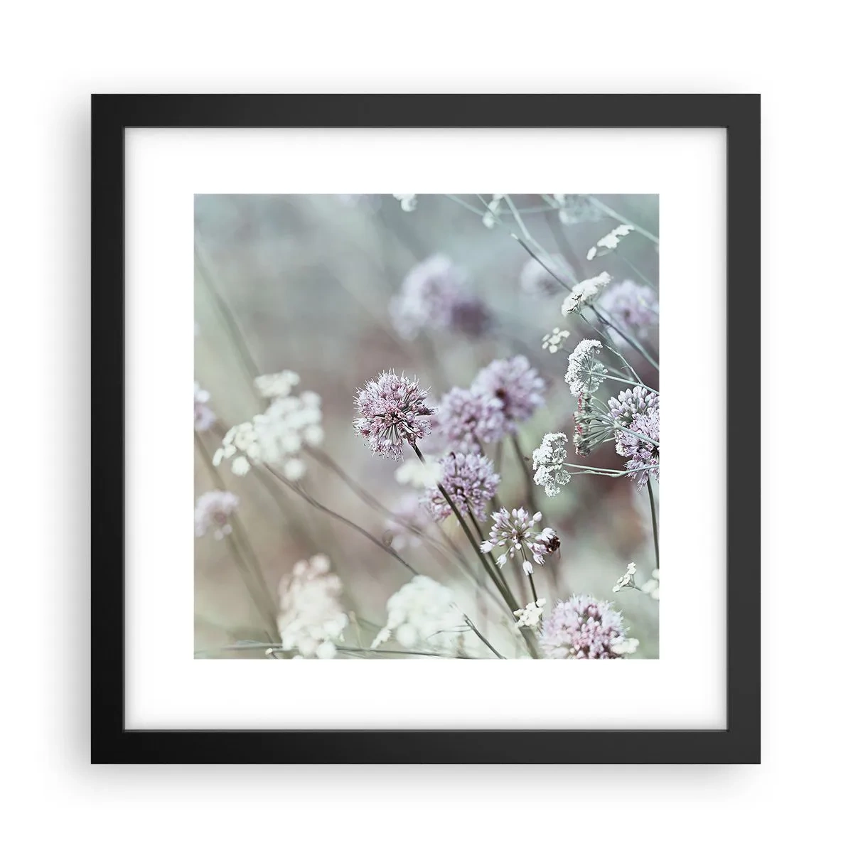 Plakat i sort ramme - Søde filigranurter - 30x30 cm