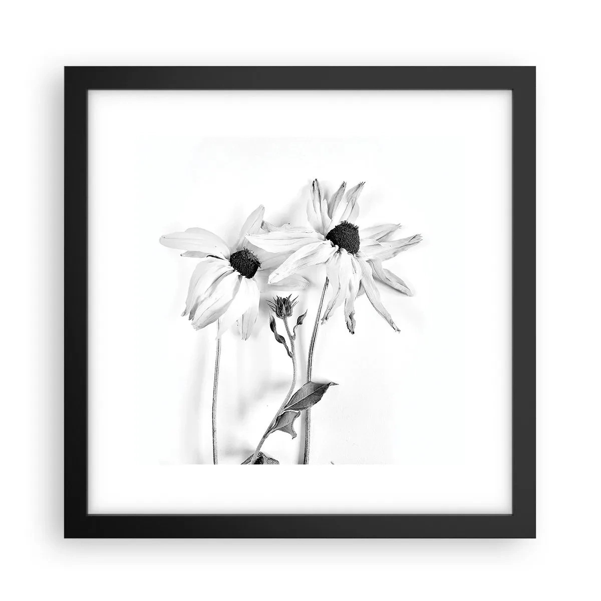 Plakat i sort ramme - Ingen ønsker at være alene - 30x30 cm