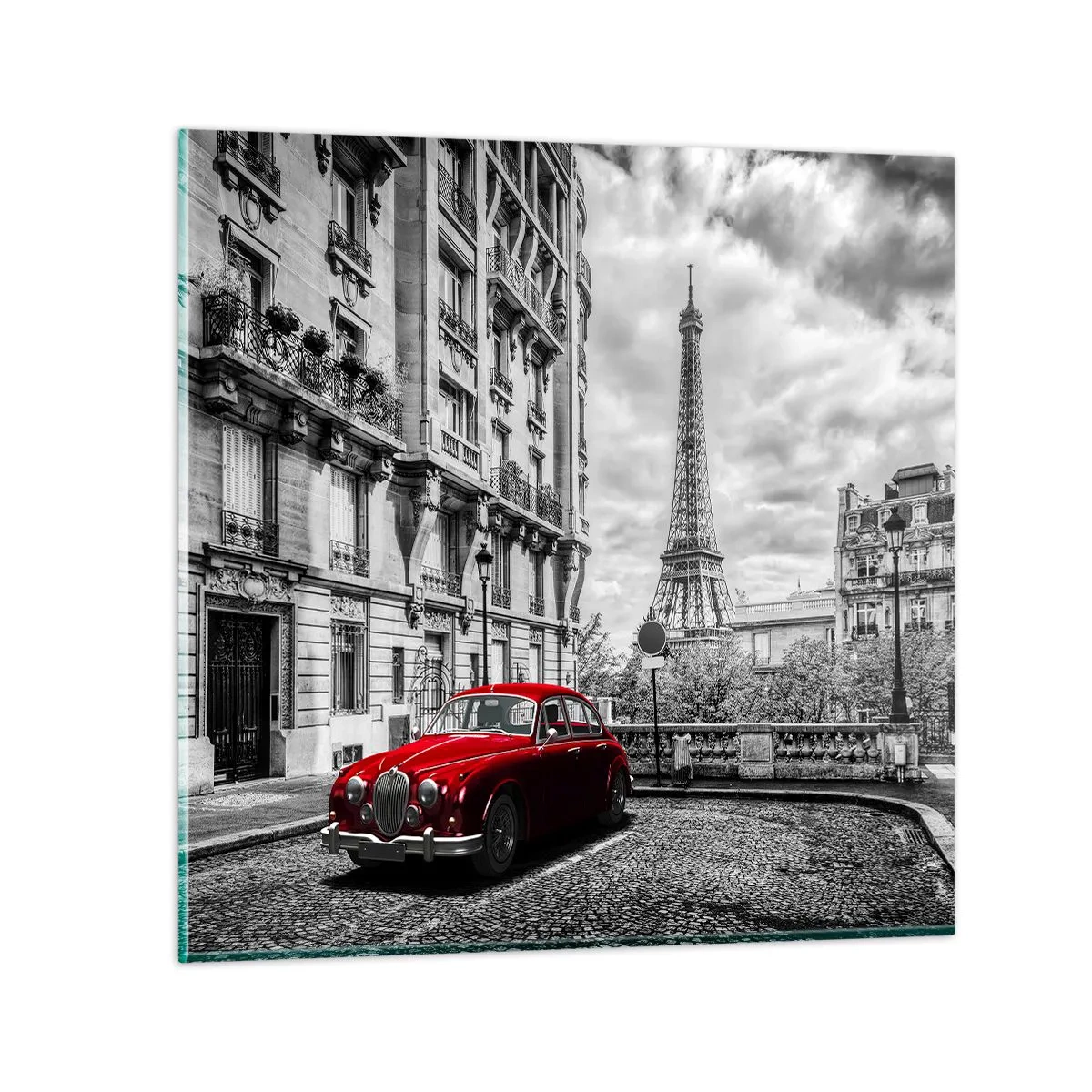 Billede på glas - Rovdyr i byen - 40x40 cm