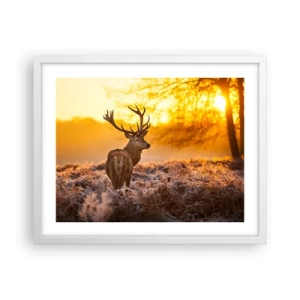 Plakat i hvid ramme - Kongen af efterårsskoven - 50x40 cm