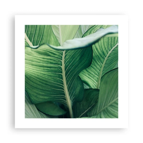 Plakat - Livet er intenst grønt - 40x40 cm