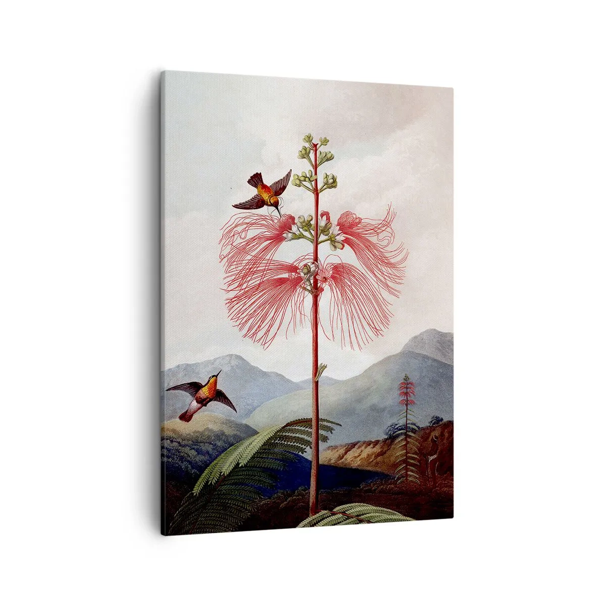 Lærredstryk - Billede på lærred - I et tropisk paradis - 50x70 cm