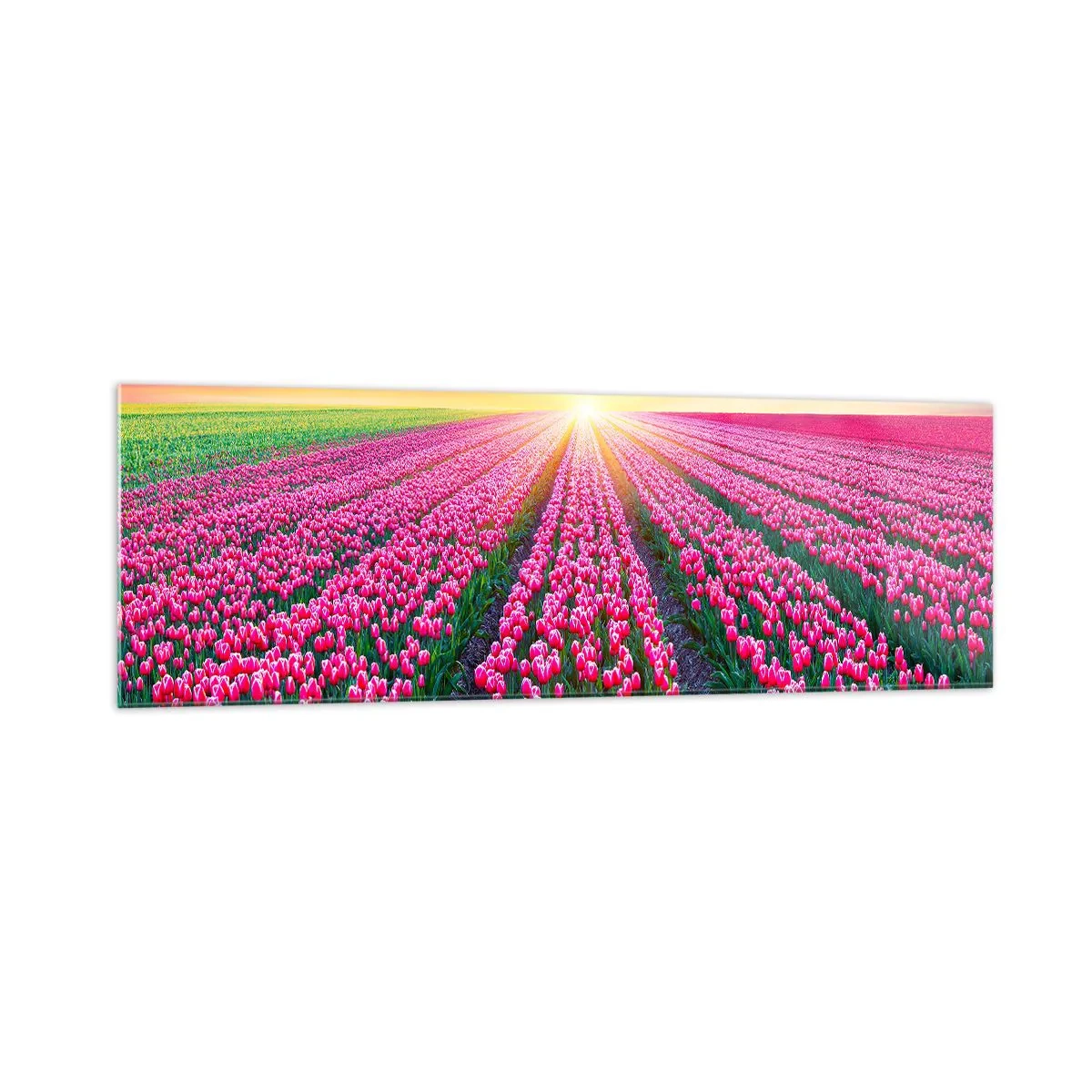Billede på glas - Skønhedsfarm - 160x50 cm