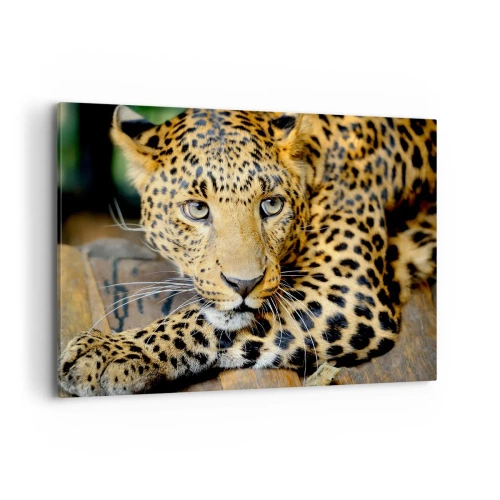 Lærredstryk - Billede på lærred - Vær ikke bange, kom nu - 100x70 cm