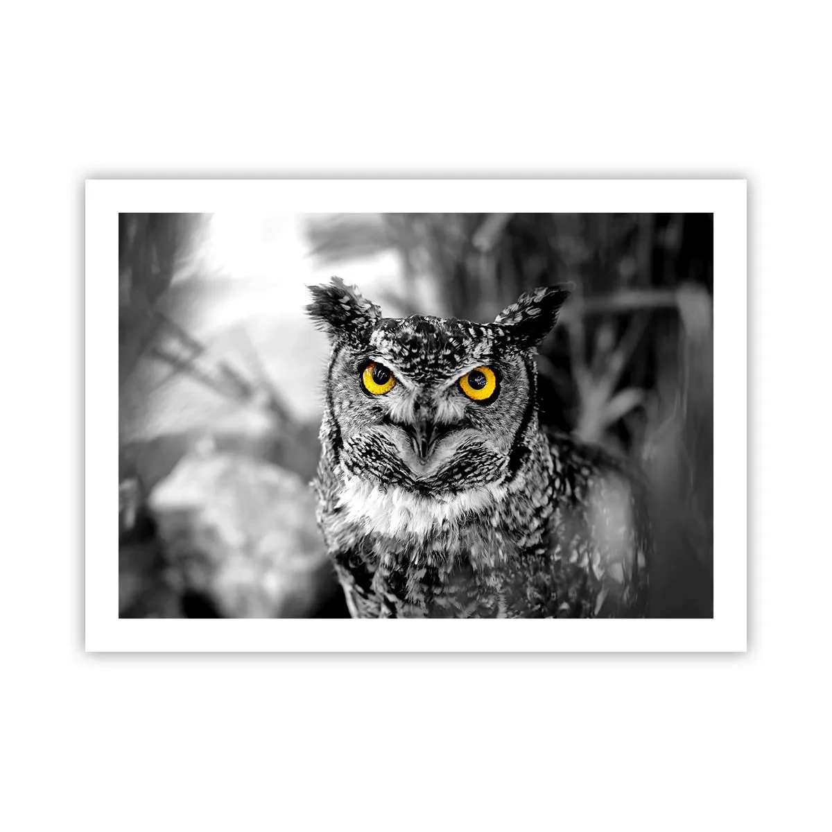 Plakat - Intet kan skjules - 70x50 cm