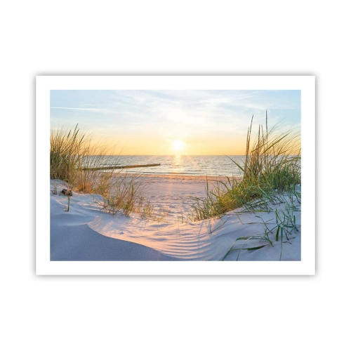 Plakat - Havet brummer, fuglene synger, en vild strand midt i græsset.... - 70x50 cm