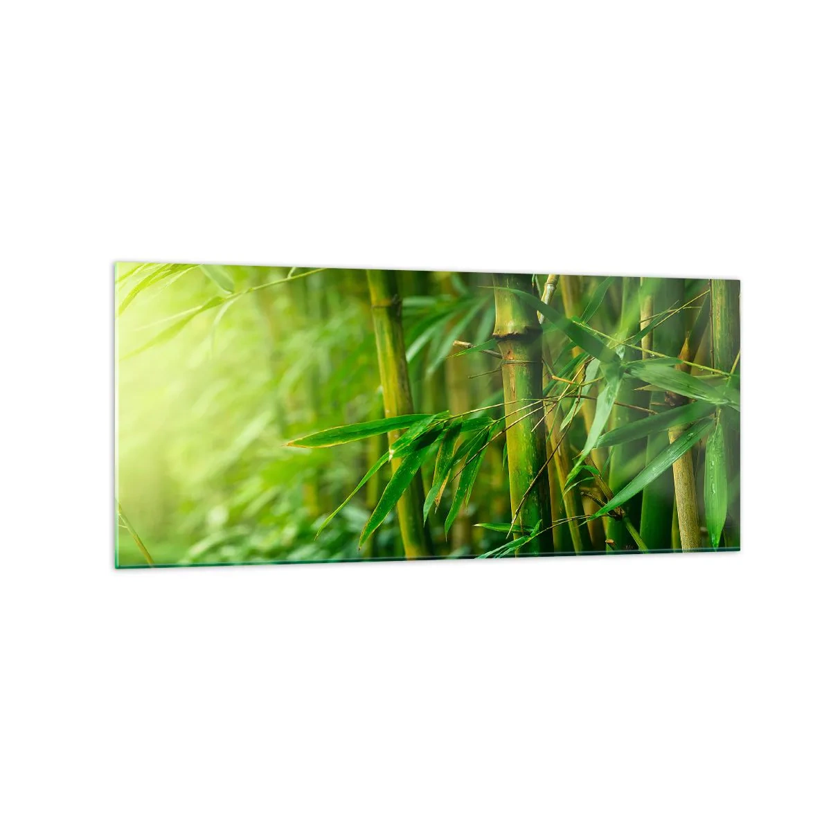 Billede på glas - Lær selve det grønne at kende - 120x50 cm