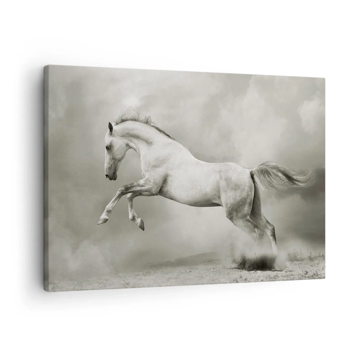 Lærredstryk - Billede på lærred - En hvid hest i et dynamisk spring mod en baggrund af tågede skyer. - 70x50cm - Mellem vågenhed og drømme - Moderne vægdekoration til stue og soveværelse ARTTOR