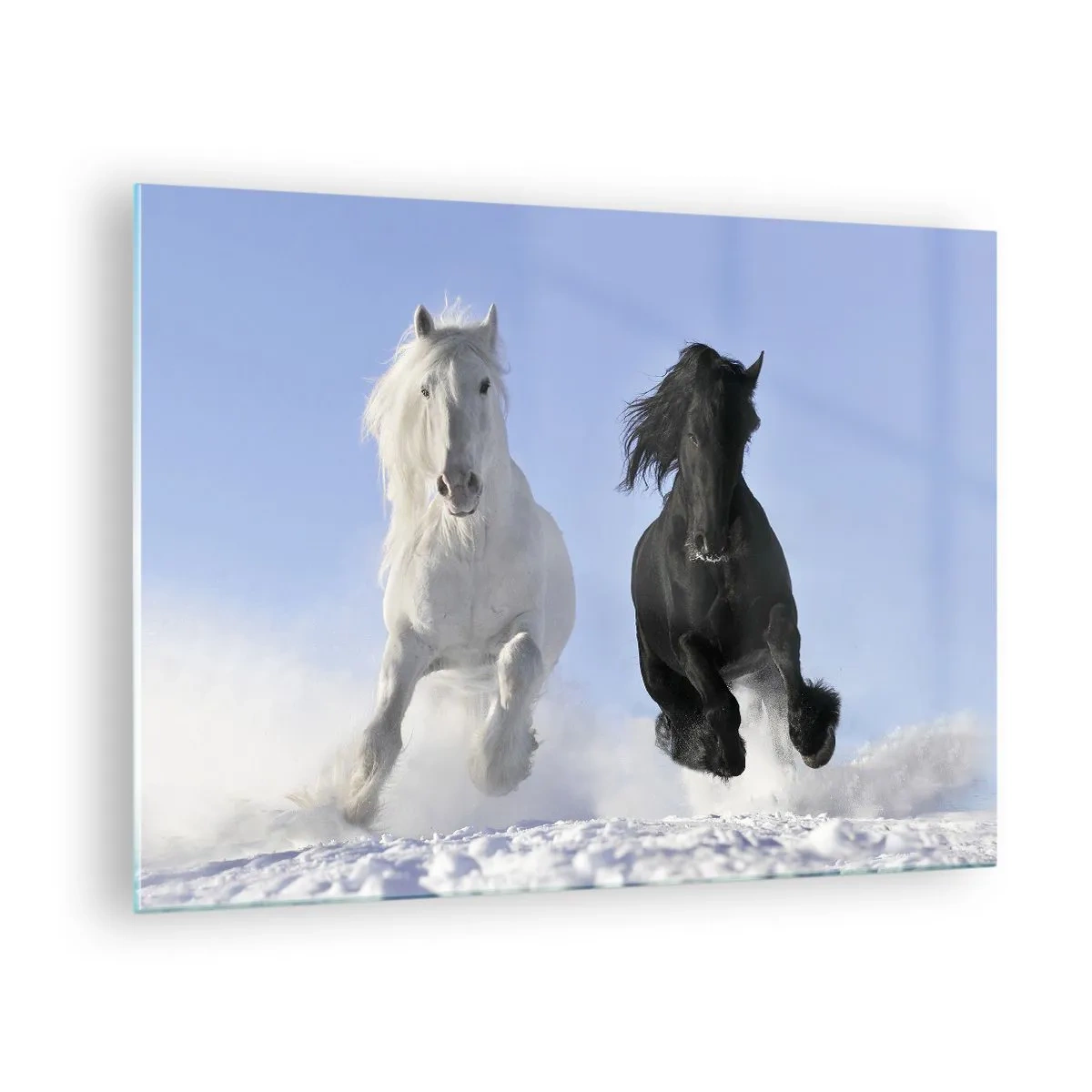 Billede på glas - En sort og hvid hest løber gennem sneen i et vinterlandskab - 70x50cm - Sort og hvid galop - Moderne vægdekoration til stue og soveværelse ARTTOR