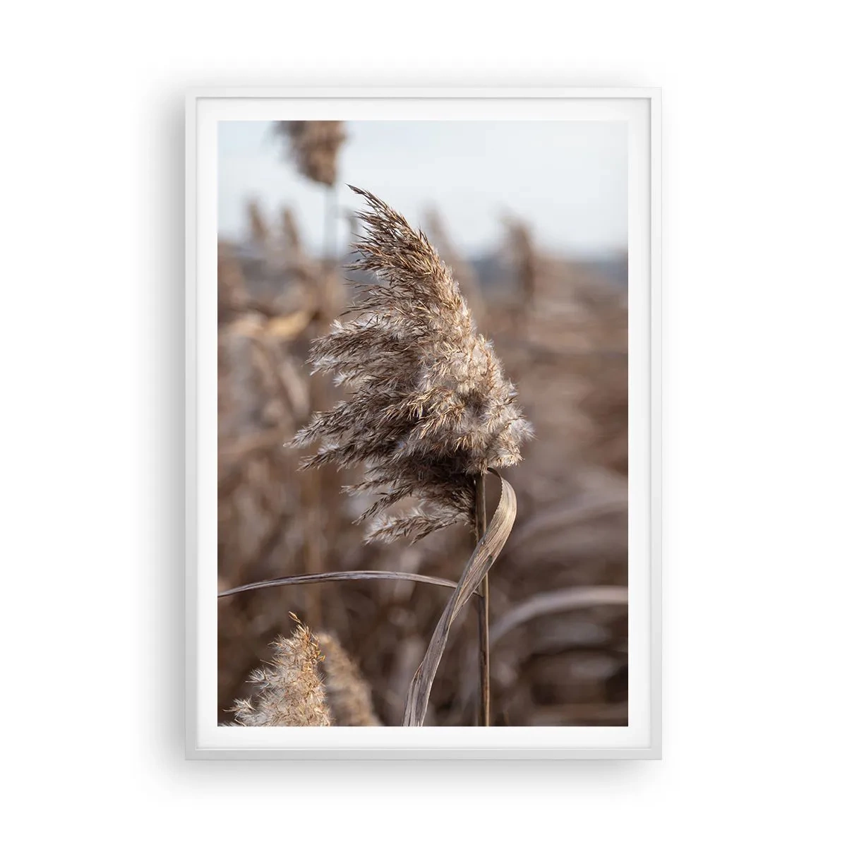 Plakat i hvid ramme - Tid til at flyve væk med vinden - 70x100 cm