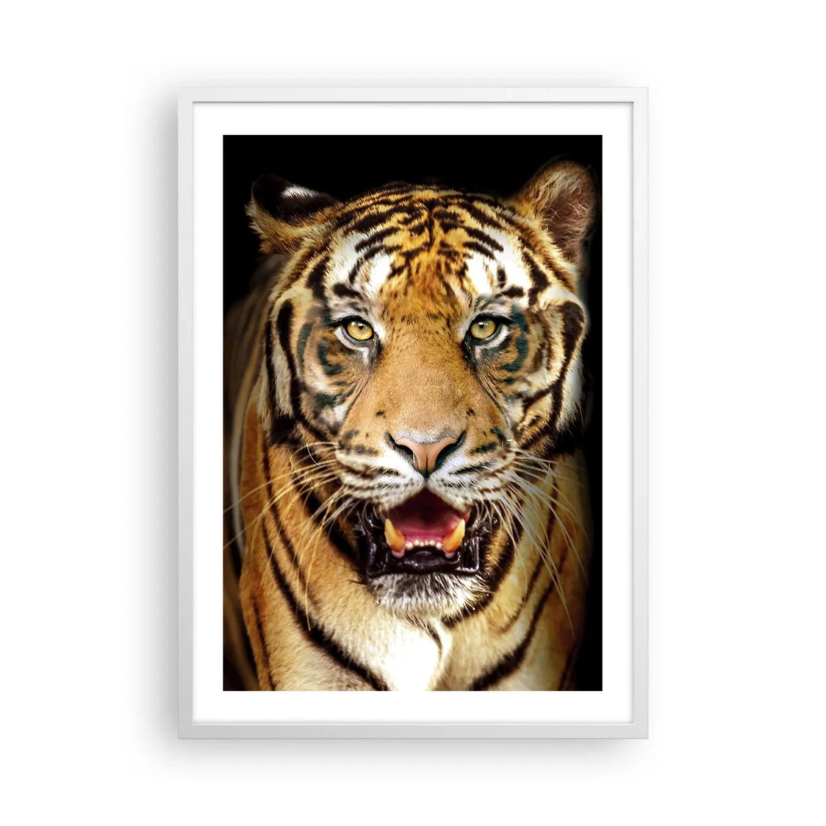 Plakat i hvid ramme - Vild i hjertet - 50x70 cm