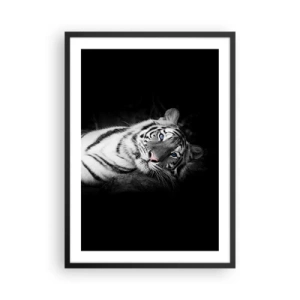 Plakat i sort ramme - En hvid tiger i et kontrasterende billede mod en sort baggrund - 50x70cm - Vildskab og fred - Moderne vægdekoration til stue og soveværelse ARTTOR