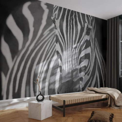Fototapet Premium Sand - Verden er sort og hvid - Dyr, Ribben, Sort og hvid - 300x210 cm