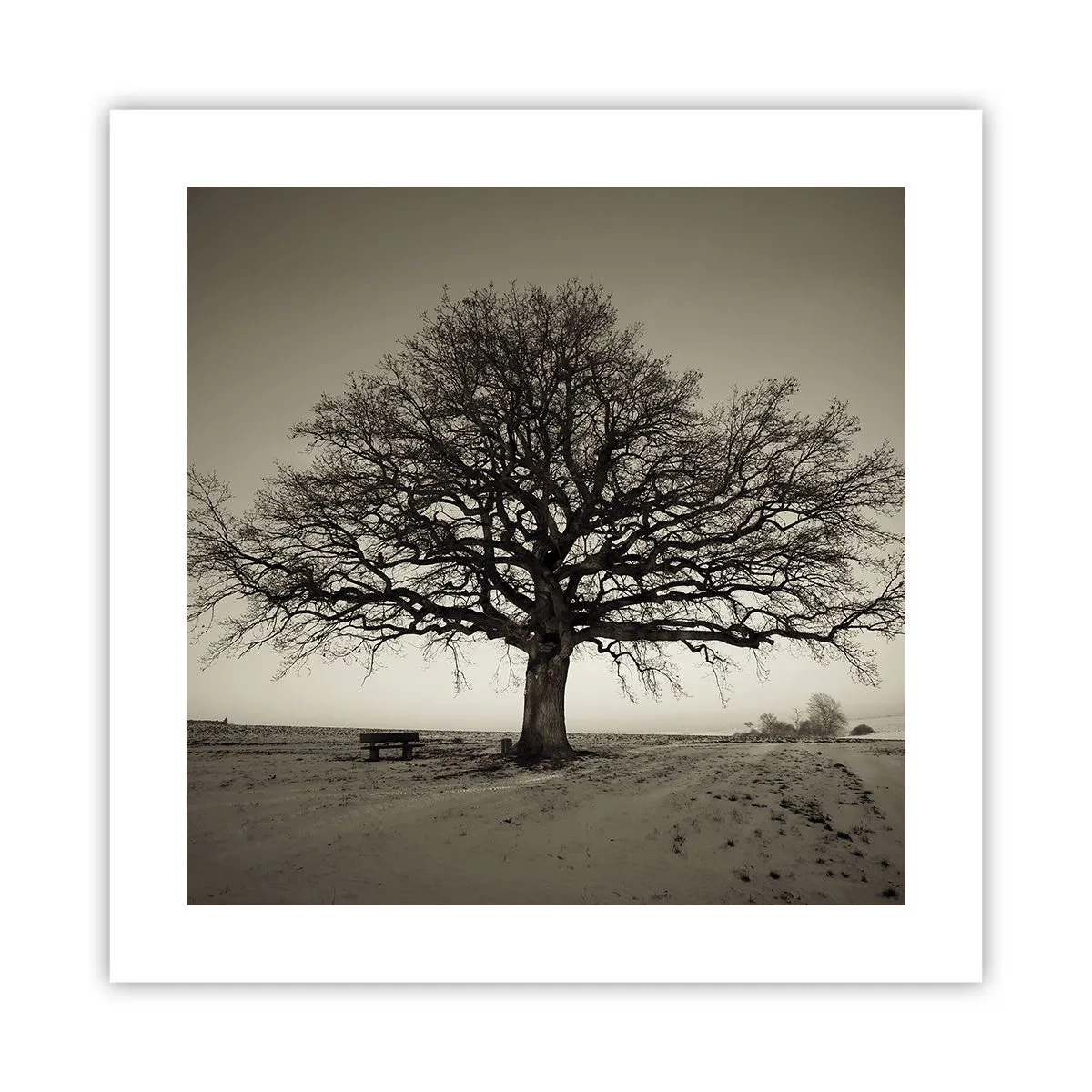 Plakat - Herfra og til evigheden - 40x40 cm