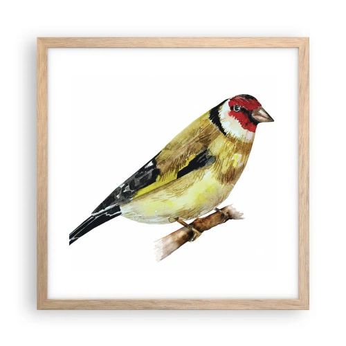 Plakat i ramme af lyst egetræ - Portræt af en fugl - 40x40 cm
