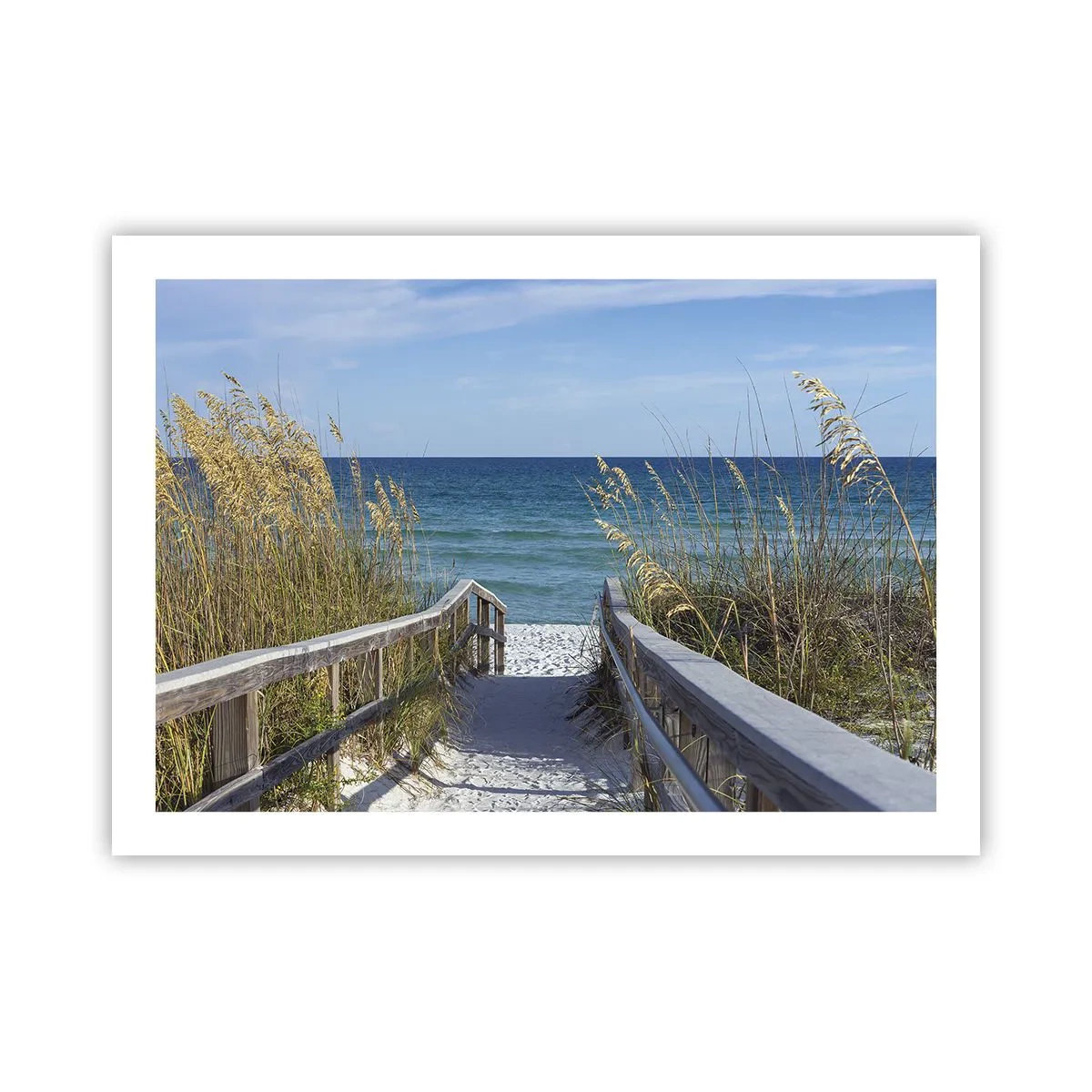 Plakat - I solen, i vinden - 70x50 cm
