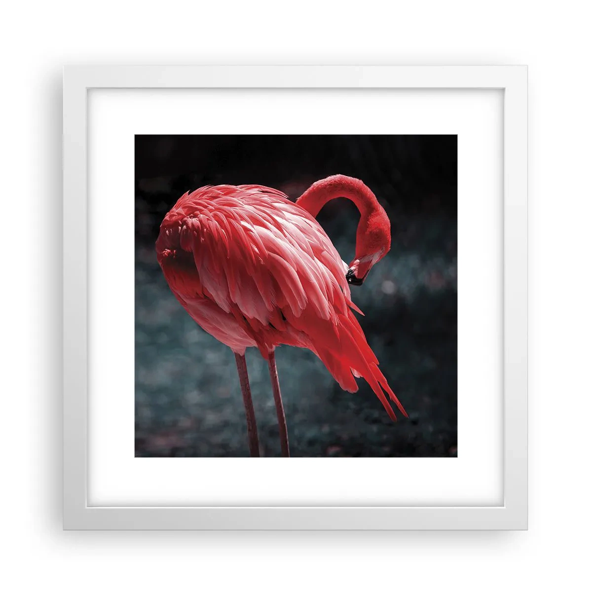 Plakat i hvid ramme - Et karmosinrødt naturdigt - 30x30 cm